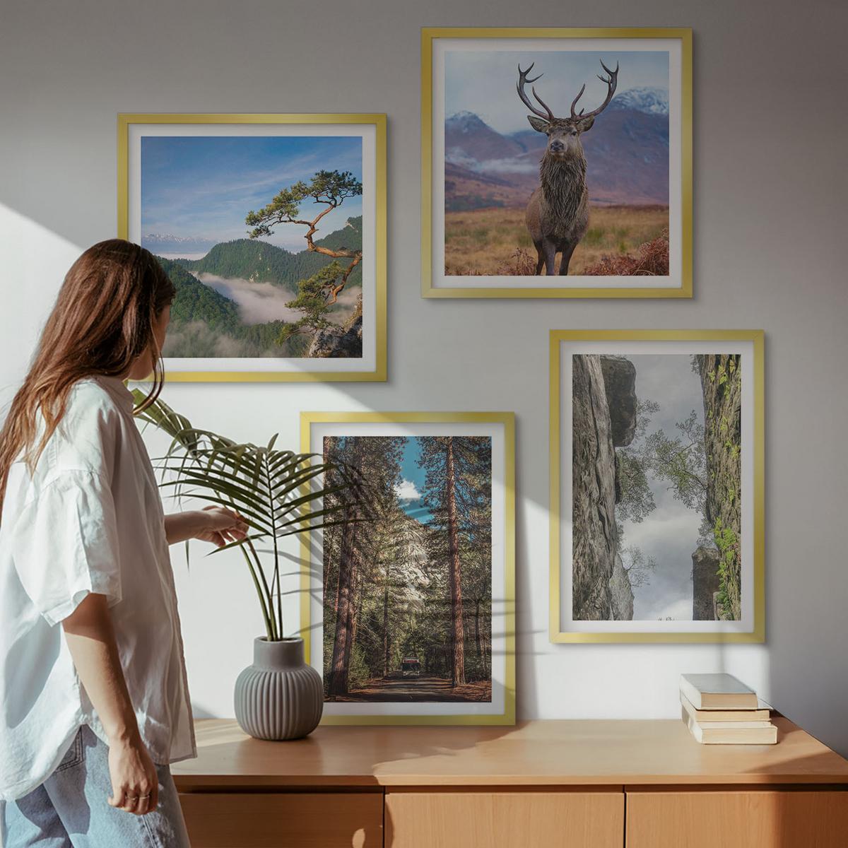 BILDER SET 4er Set - 50x50 cm & 40x60 cm Goldrahmen - Straße Wald Berge Hirsch Natur - Goldfarben, Kunststoff (50/50cm) - TULUP