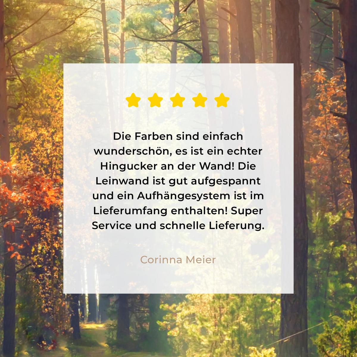 LEINWANDBILD Wald - Herbst - Bäume Deko Wohnzimmer 20x20 cm - Dunkelgrün, Textil (20/20cm) - MuchoWow