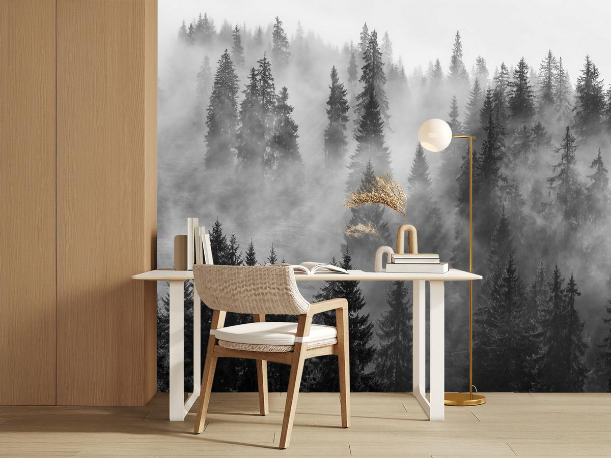 FOTOTAPETE Schwarz-weißer Wald im Nebel Natur 150x105 - Schwarz/Grau, Papier (150/105cm) - Muralo