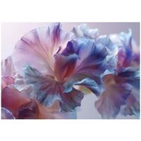 FOTOTAPETE Blumen Abstrakt Lila 350x250 cm - Multicolor, Papier (350/250cm) - Wallarena
