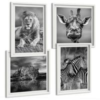 BILDER SET 4er Set - 50x50 cm & 40x60 cm Weißer Rahmen - Wildtiere Löwe Jaguar Giraffe Zebras - Weiß, Kunststoff (50/50cm) - TULUP