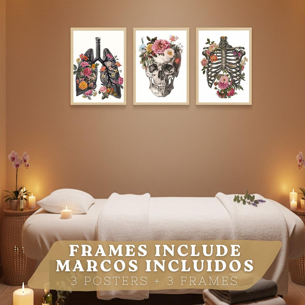 POSTER Set aus 3 Anatomie Mensch Drucke und mit Lungen Luftröhre Bronchien Rippen Wirbelsäule und Schädel Modernes Florales Leichter Holzrahmen A4 - Beige, Papier (21/29.7/3cm) - Nacnic