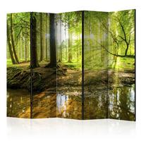 PARAVENT Einseitig Bedruckter 5-tlg 225x172 cm Waldsee Sonne - Grün, Holz/Textil (225/172/3cm) - Muralo