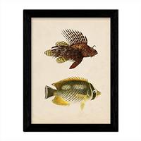 POSTER Fish – Vintage A4 Schwarzer Rahmen - Schwarz, Papier (29.7/5/21cm) - Nacnic