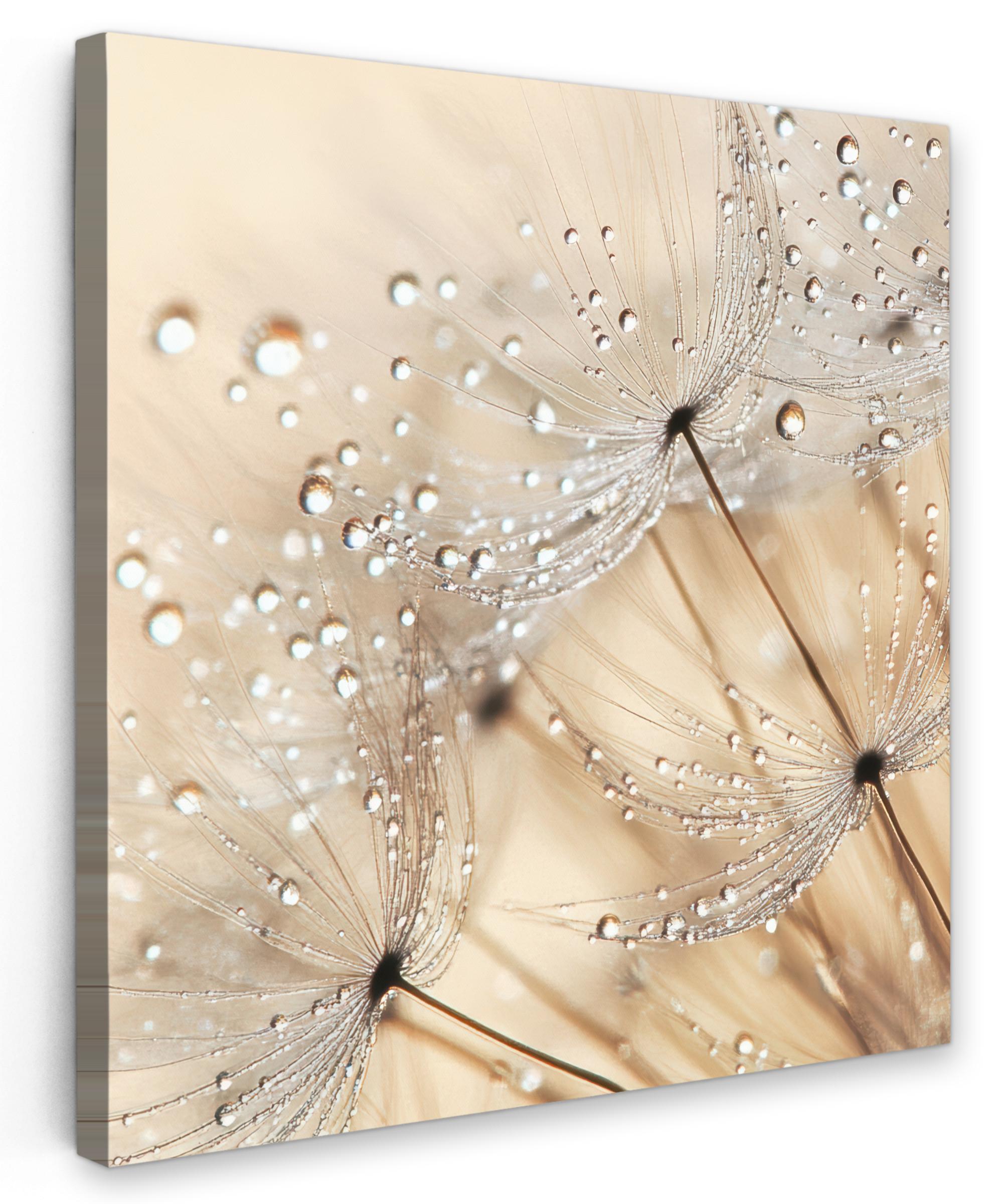 LEINWANDBILD Löwenzahn - Abstrakt - Natur - Beige Wandbild Wohnzimmer 50x50 cm - Braun, Textil (50/50cm) - MuchoWow