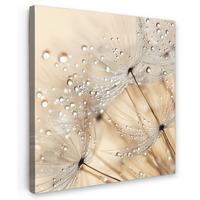 LEINWANDBILD Löwenzahn - Abstrakt - Natur - Beige Deko Groß 90x90 cm - Braun, Textil (90/90cm) - MuchoWow