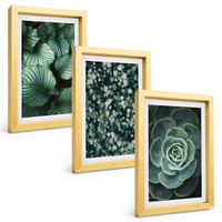 BILDER SET 3er Set - 20x30 cm Goldrahmen - Sukkulenten im Stil grüner Blätter - Goldfarben, Kunststoff (20/30cm) - TULUP