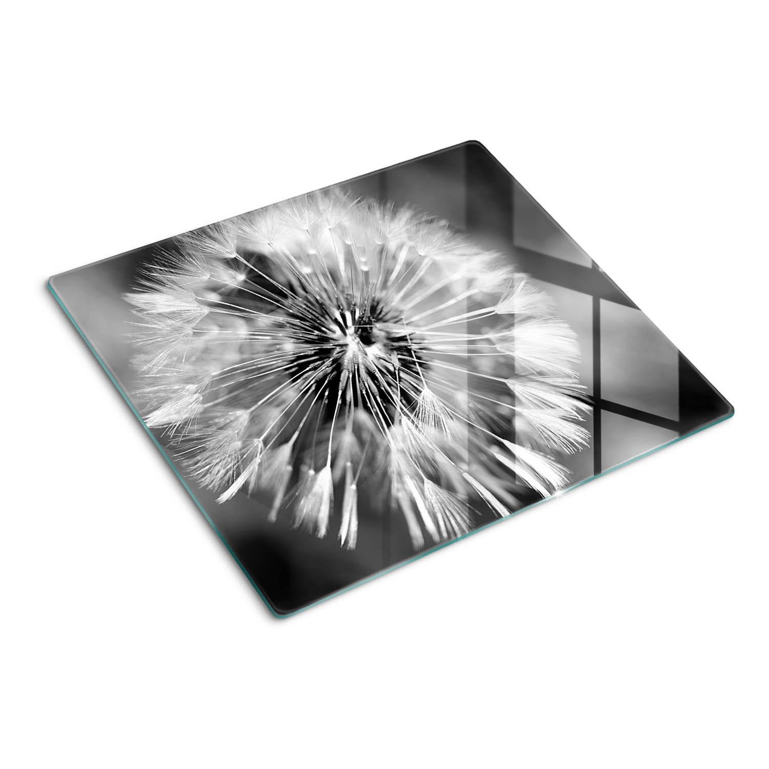 GLASPLATTE 60x52 cm Löwenzahn - Schwarz, Glas (60/0.4/52cm) - TULUP