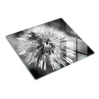 GLASPLATTE 60x52 cm Löwenzahn - Schwarz, Glas (60/0.4/52cm) - TULUP