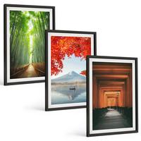 BILDER SET 3er Set - 40x60 cm Schwarzer Rahmen - Fuji-Bambuswaldlandschaft - Schwarz, Kunststoff (40/60cm) - TULUP