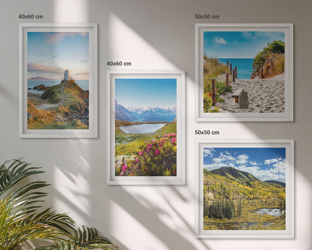 BILDER SET 4er Set - 50x50 cm & 40x60 cm Weißer Rahmen - Strand, Leuchtturm, Berge, Wiesen, Blumen - Weiß, Kunststoff (50/50cm) - TULUP