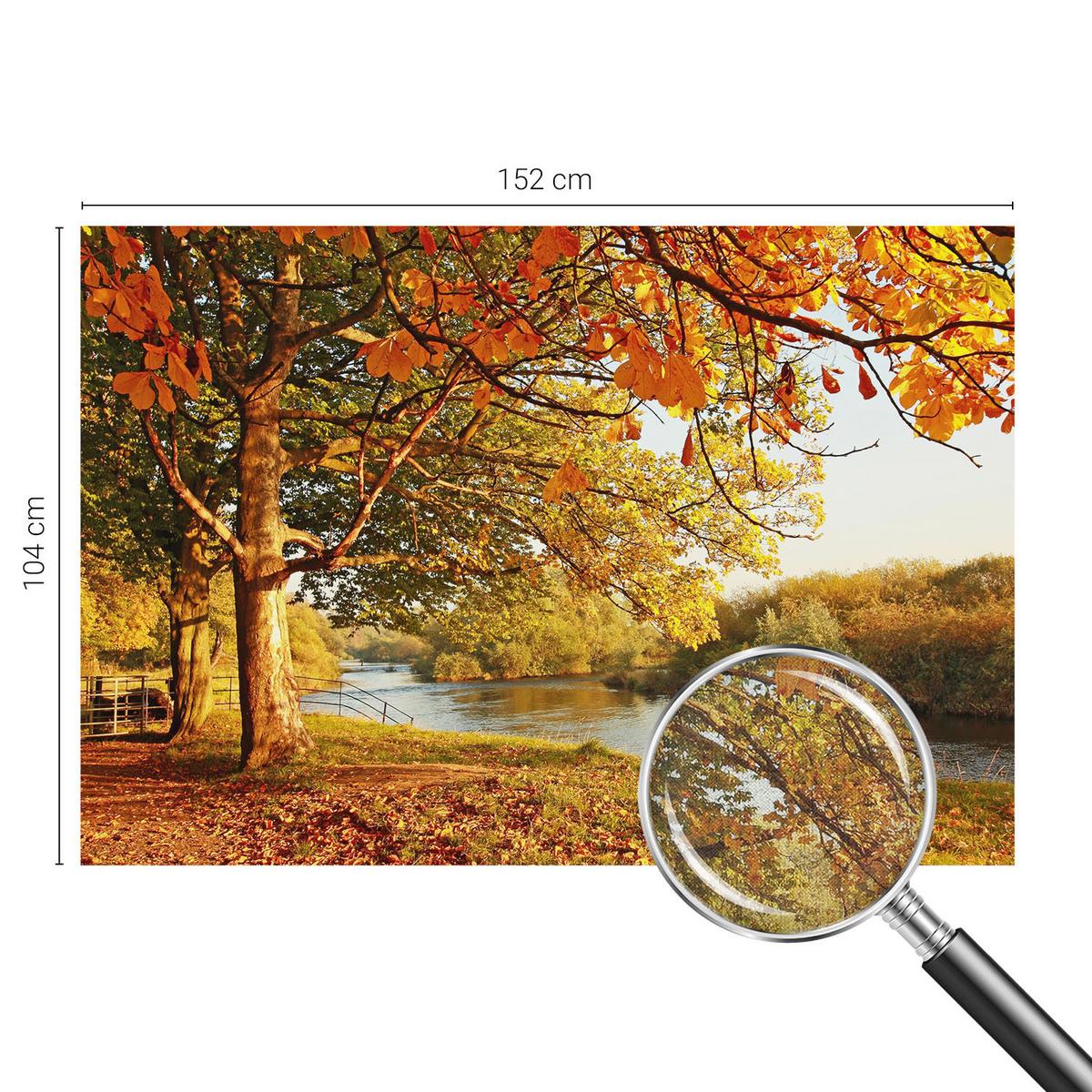 FOTOTAPETE 152x104 cm - Küstenherbst - Gelb, Textil (152/104cm) - Wallfluent