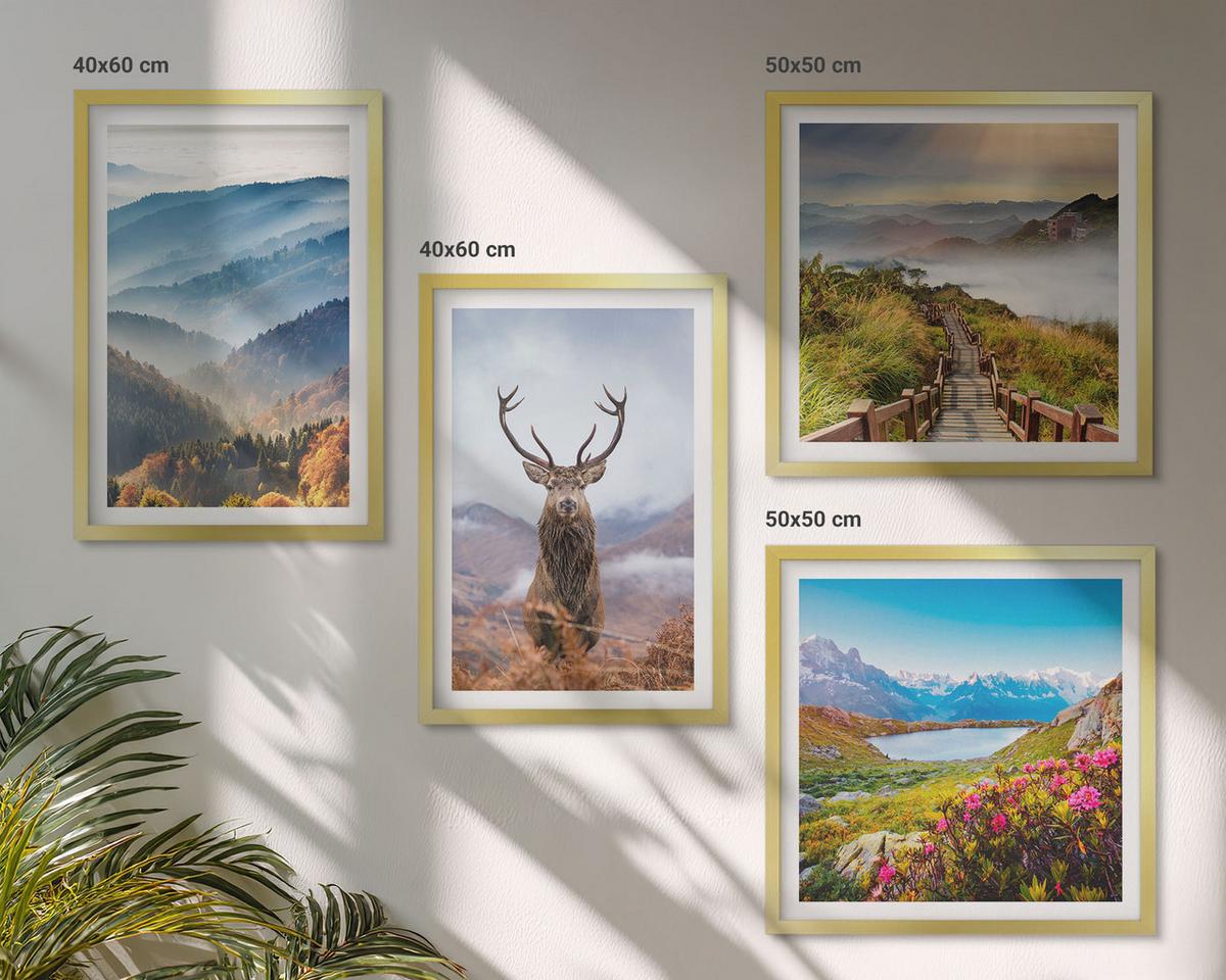 BILDER SET 4er Set - 50x50 cm & 40x60 cm Goldrahmen - Berglandschaft, See, Hirsche - Goldfarben, Kunststoff (50/50cm) - TULUP