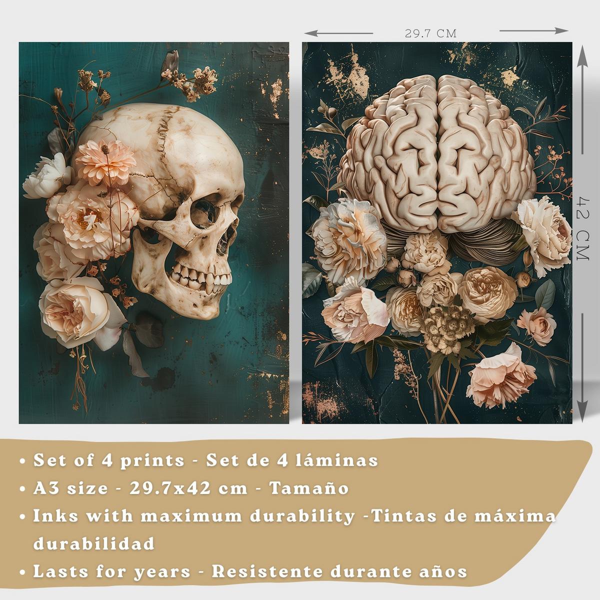 POSTER Set aus 4 Anatomie Mensch Drucke und mit Schädel Gehirn Lungen Luftröhre Bronchien Becken Wirbelsäule Florales Größe Leichter Holzrahmen A3 - Beige, Papier (29.7/42/3cm) - Nacnic