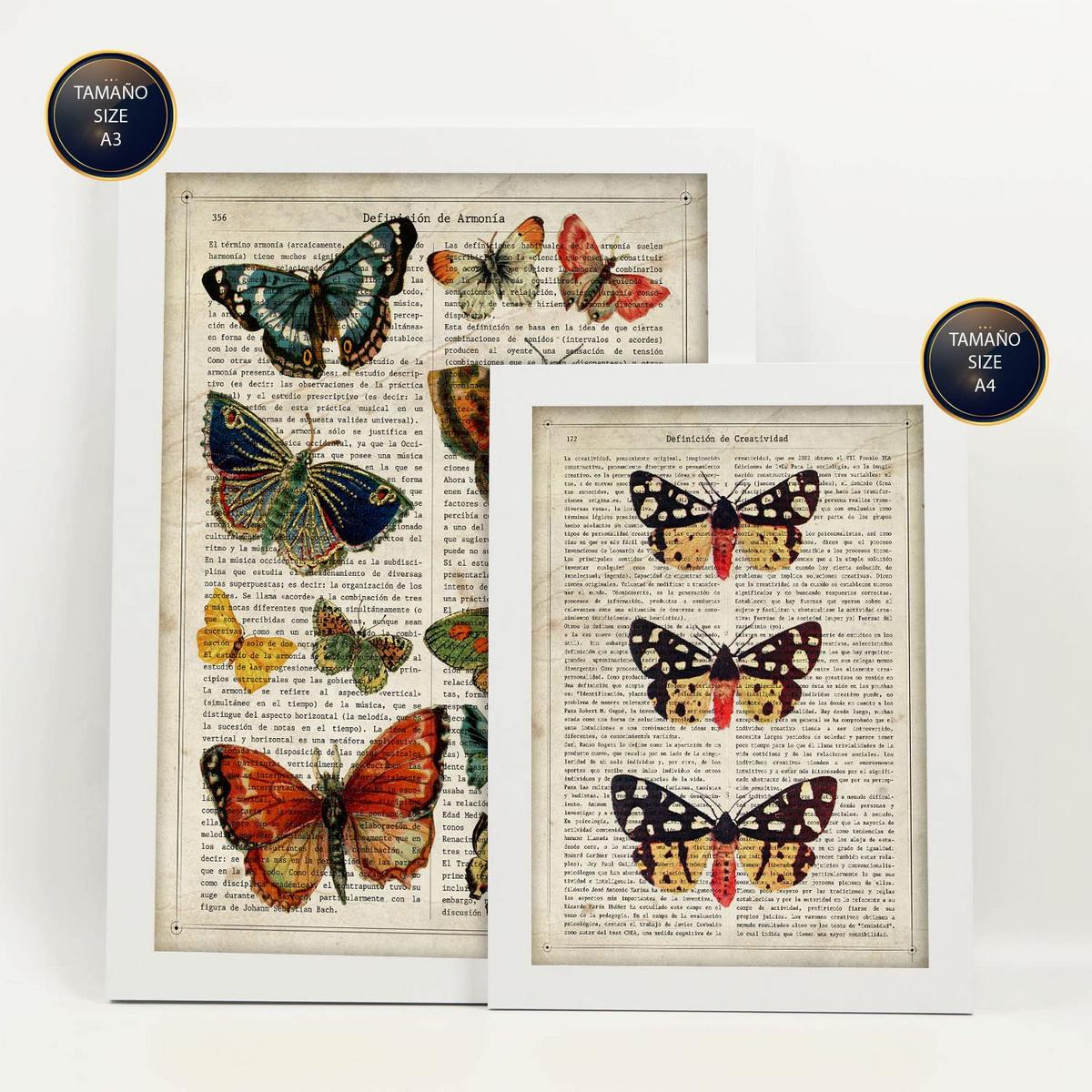 POSTER Set Mit 6 Schmetterlinge Vintage Papier Stil Plakate Mit Enzyklopädie Hintergründen Bunte Schmetterlinge Innenarchitektur A3 & A4 Weißer Rahmen - Weiß, Papier (29/3cm) - Nacnic