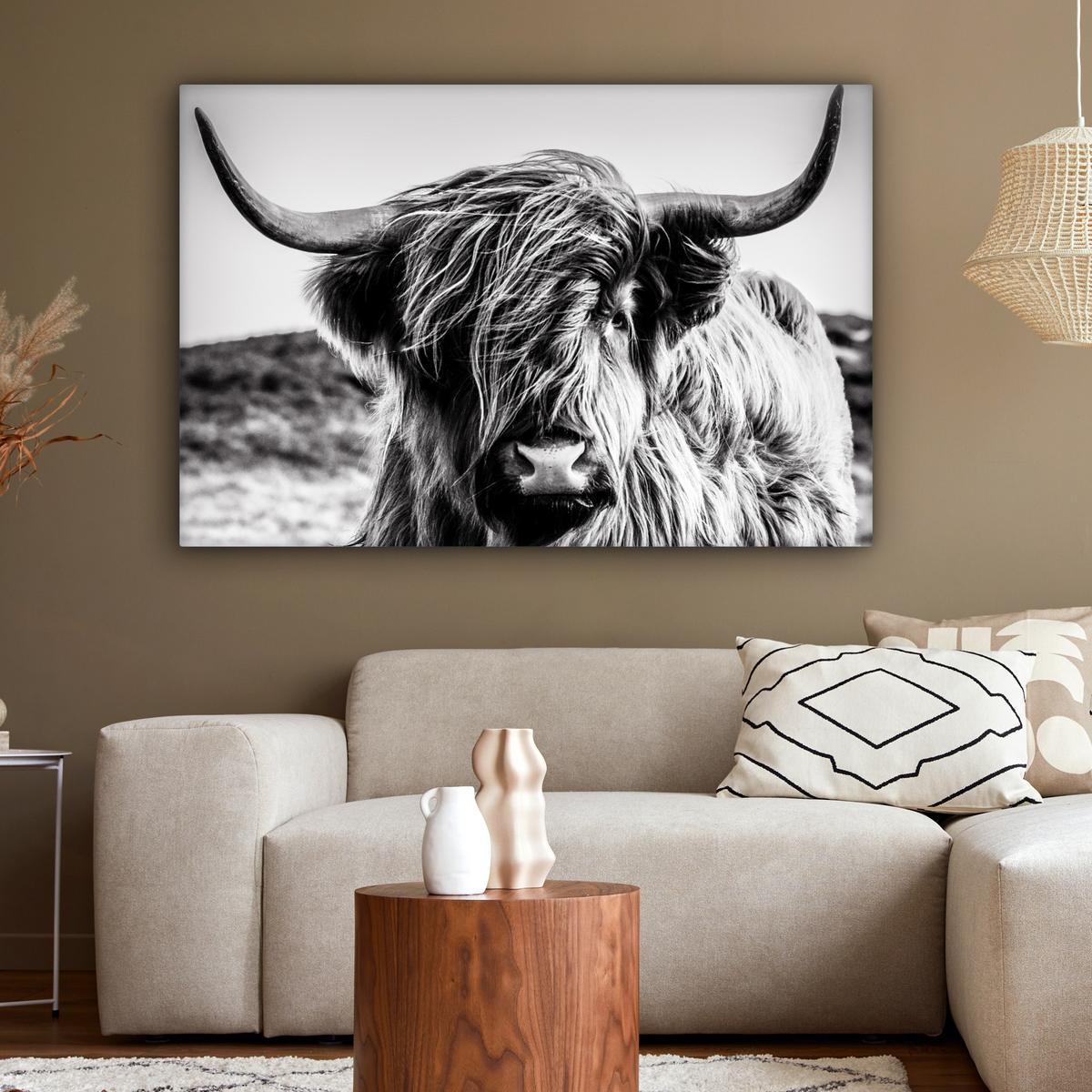 LEINWANDBILD Kuh - Schottischer Hochländer - Schwarz - Weiß - Tier - Natur - Wildtiere XXL 150x100 cm - Schwarz, Textil (150/100cm) - MuchoWow