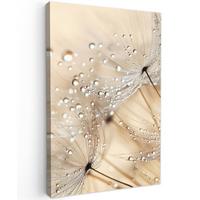LEINWANDBILD Löwenzahn - Abstrakt - Natur - Beige Deko XXL 80x120 cm - Braun, Textil (80/120cm) - MuchoWow