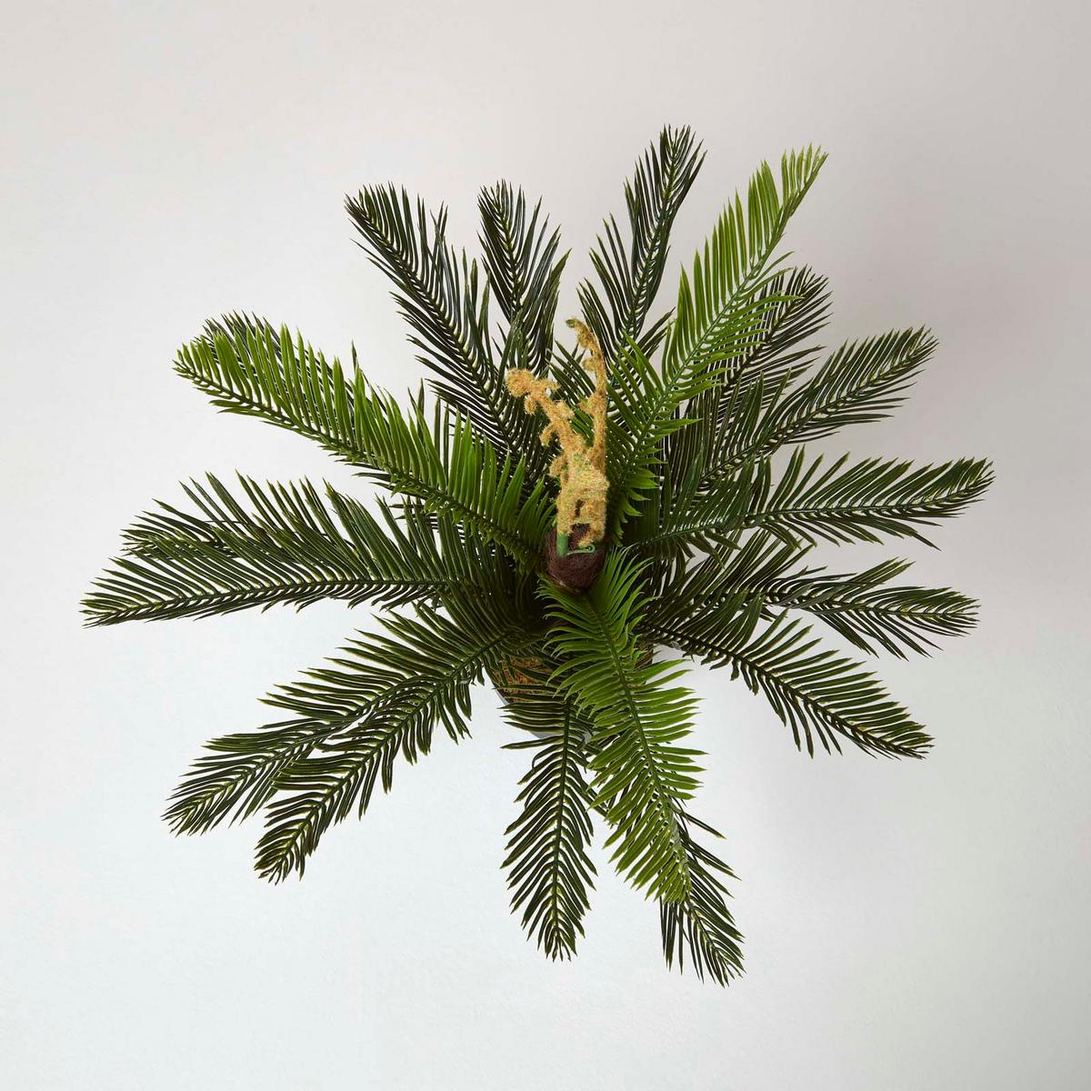 KUNSTPFLANZE Palmfarn grün, 75 cm - Grün, Kunststoff (75cm) - Homescapes