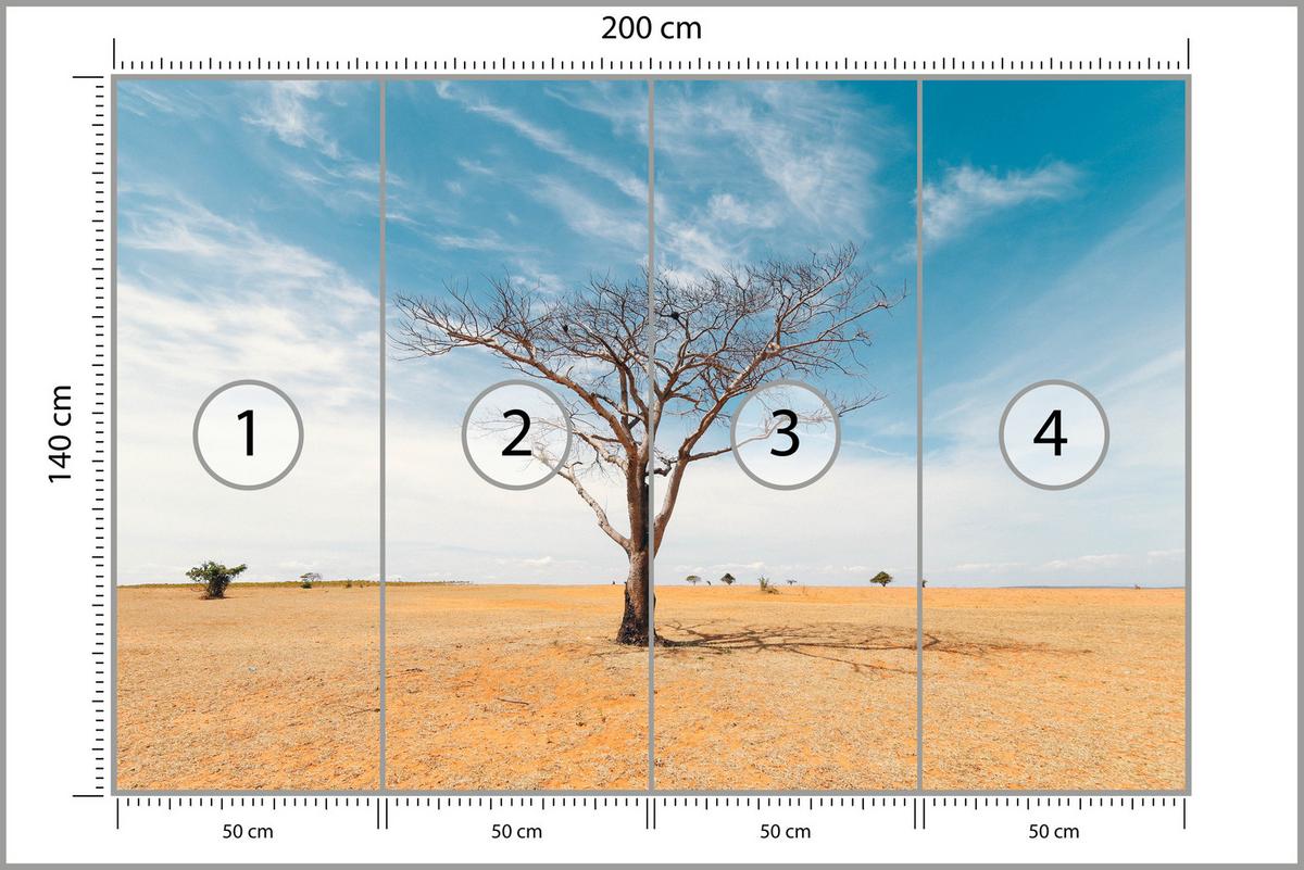 FOTOTAPETE für Wohnzimmer Trockener Baum Wüste Sand 200x140 - Beige/Orange, Papier (200/140cm) - Muralo
