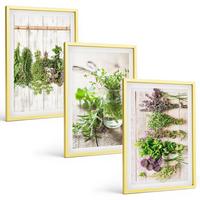 BILDER SET 3er Set - 40x60 cm Goldrahmen - Kräuterpflanzen für die Küche - Goldfarben, Kunststoff (40/60cm) - TULUP