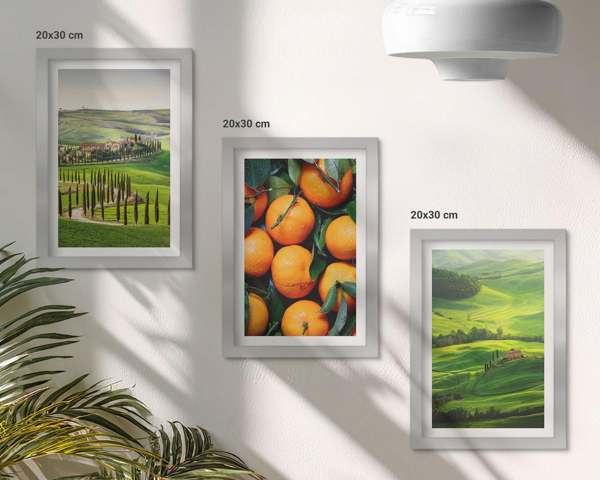 BILDER SET 3er Set - 20x30 cm Silberner Rahmen - Italienische Landschaft mit Orangen - Silberfarben, Kunststoff (20/30cm) - TULUP