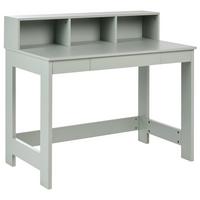 SCHREIBTISCH Hellgrün 111/60 cm Alvar - Hellgrün, Holzwerkstoff (60/111/96cm) - Beliani