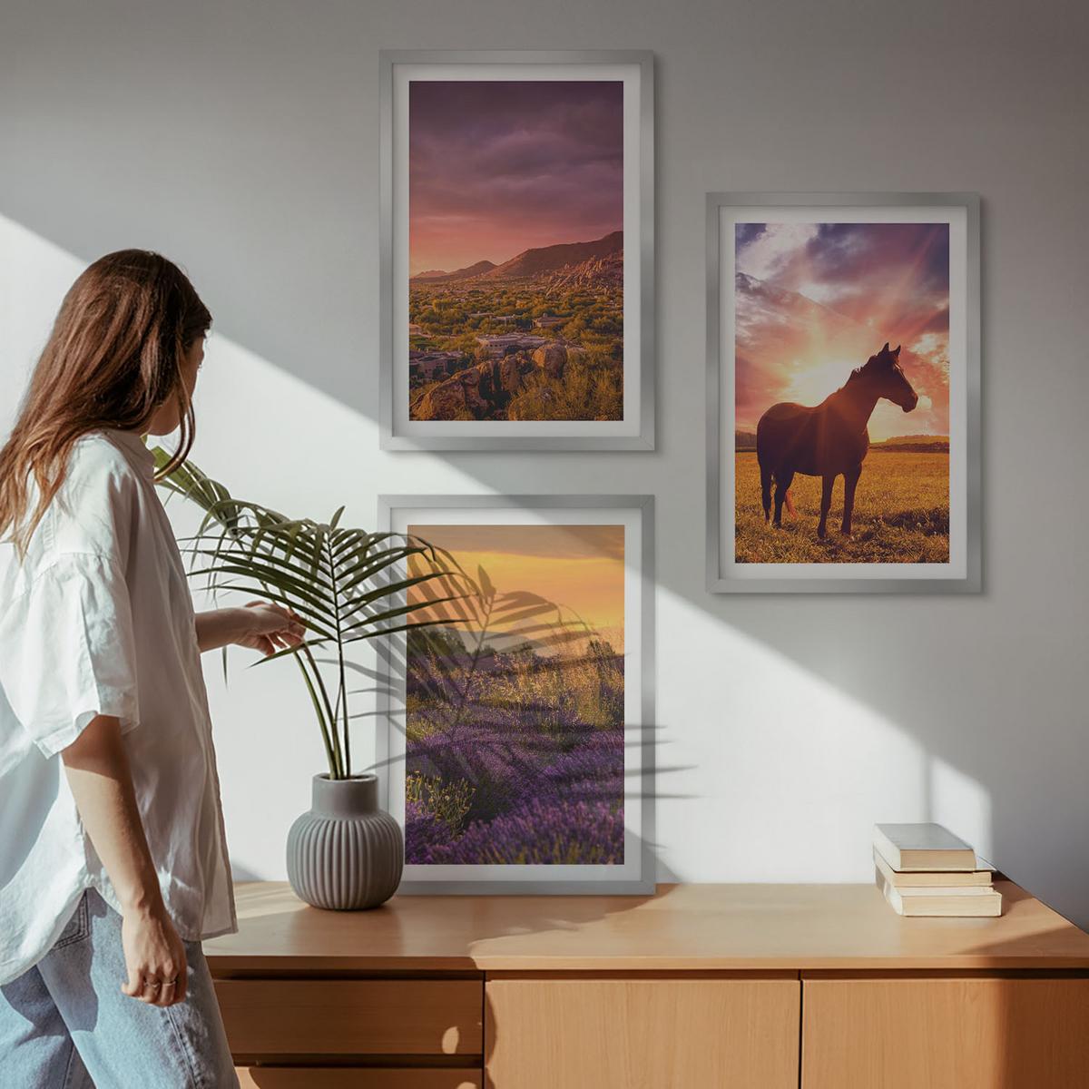 BILDER SET 3er Set - 40x60 cm Silberner Rahmen - Berglandschaft mit einem Pferd - Silberfarben, Kunststoff (40/60cm) - TULUP
