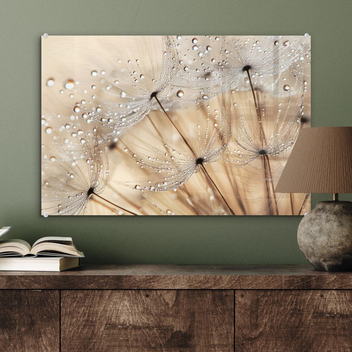 ACRYLGLASBILD Löwenzahn - Abstrakt - Natur - Beige Wanddeko 60x40 cm - Braun, Glas (60/40cm) - MuchoWow