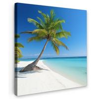 LEINWANDBILD Strand - Palme - Tropisch - Meer Wandbild Wohnzimmer 50x50 cm - Grün, Textil (50/50cm) - MuchoWow