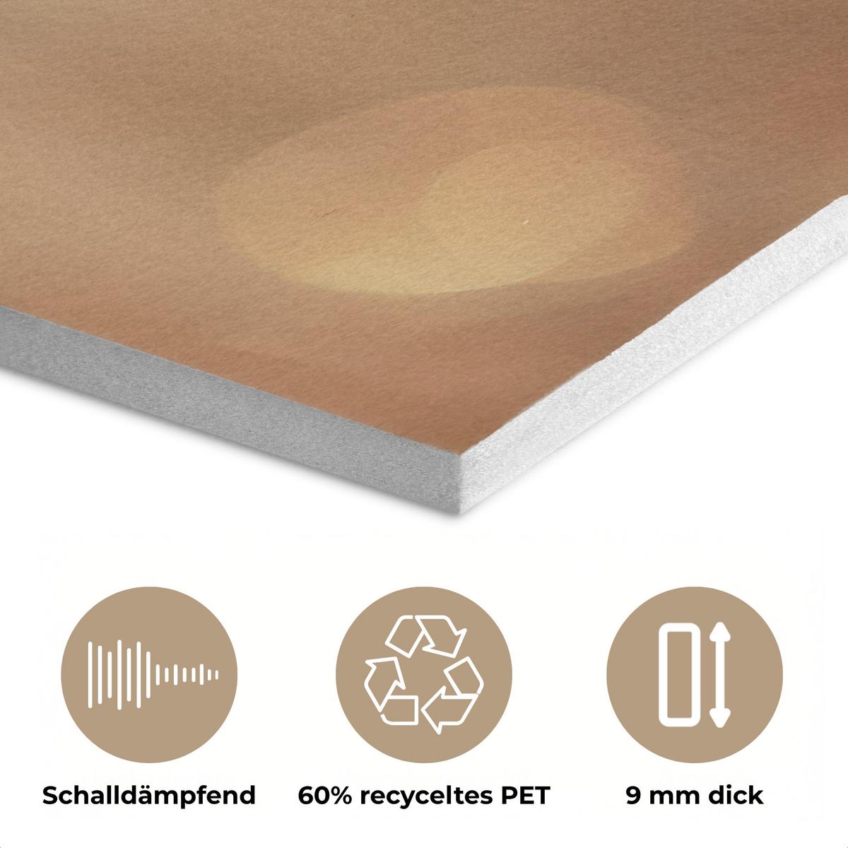 AKUSTIKBILD Löwenzahn - Beige - Natur - Blume Wanddeko 60x90 cm - Hellbraun, Kunststoff (60/90/0.9cm) - MuchoWow