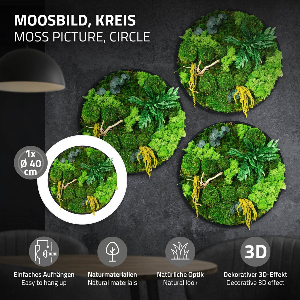 MOOSBILD Rund Ø 40 cm Mooswand Indoor mit echtem Kugel-, Island- und Flachmoos-Mix und Ästen Holzrahmen Grün - Gelb/Grün, Naturmaterialien (40/40/3cm) - ECD-Germany