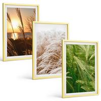 BILDER SET 3er Set - 40x60 cm Goldrahmen - Gräser farbenfrohe Natur - Goldfarben, Kunststoff (40/60cm) - TULUP