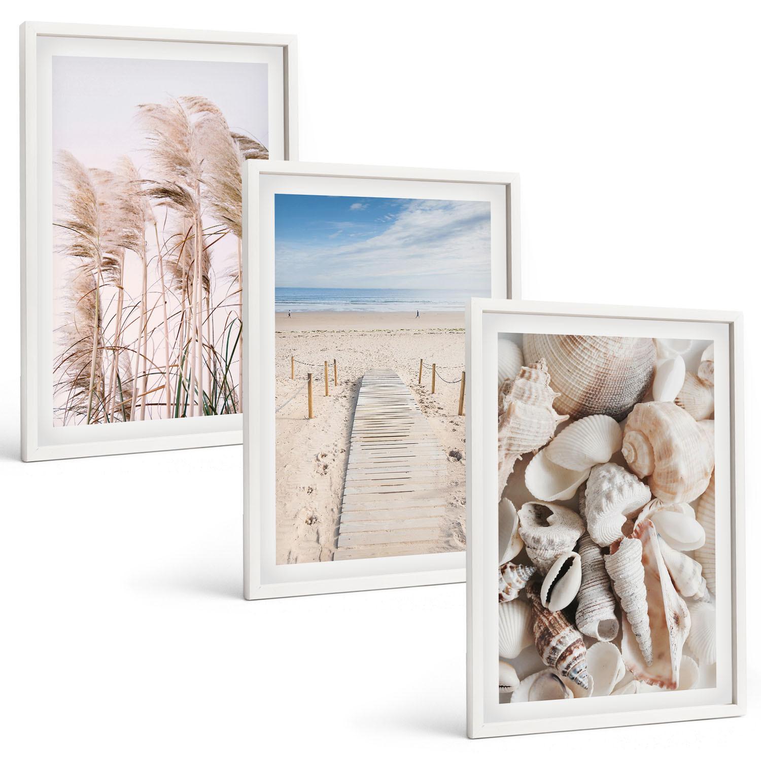 BILDER SET 3er Set - 40x60 cm Weißer Rahmen - Strandmuscheln Seegras - Weiß, Kunststoff (40/60cm) - TULUP