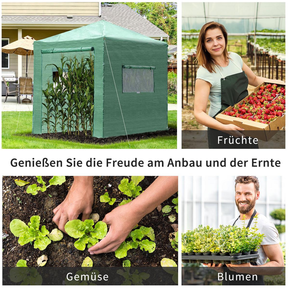 GEWÄCHSHAUS Treibhaus Tomatenhaus Frühbeet mit Tür und Fenster, Stahl, PE, Dunkelgrün - Grün, Metall (178/240/238cm) - Outsunny
