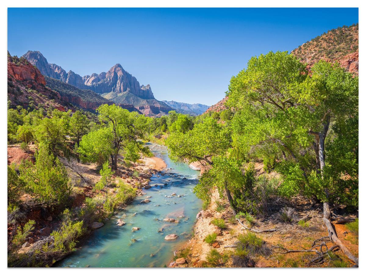 FOTOTAPETE für Esszimmer Virgin River Bäume Felsen Berge Natur 500x350 - Türkis/Blau, Papier (500/350cm) - Muralo