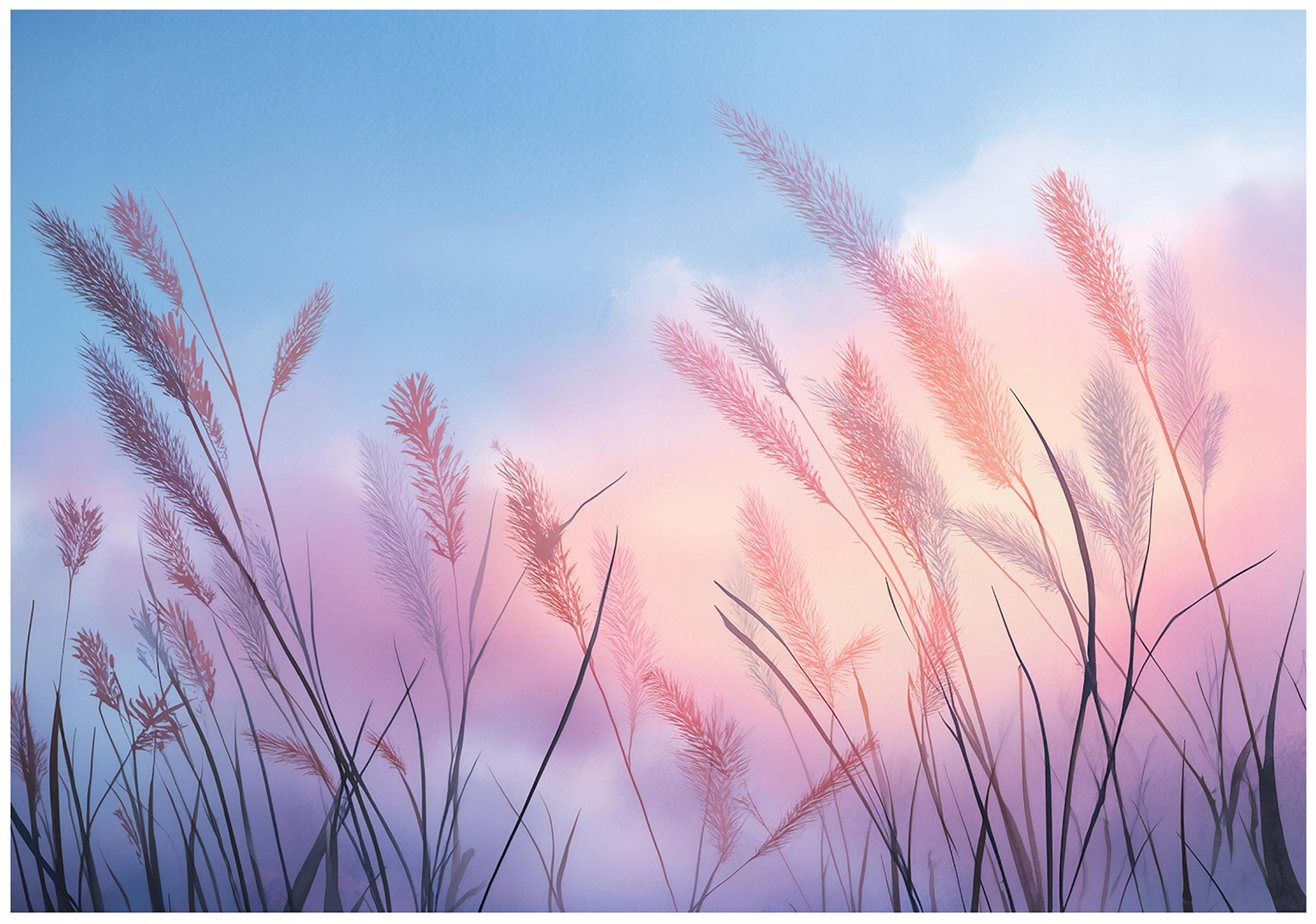 FOTOTAPETE Pampasgras Himmel Blau 250x175 cm - Multicolor, Papier (250/175cm) - Wallarena
