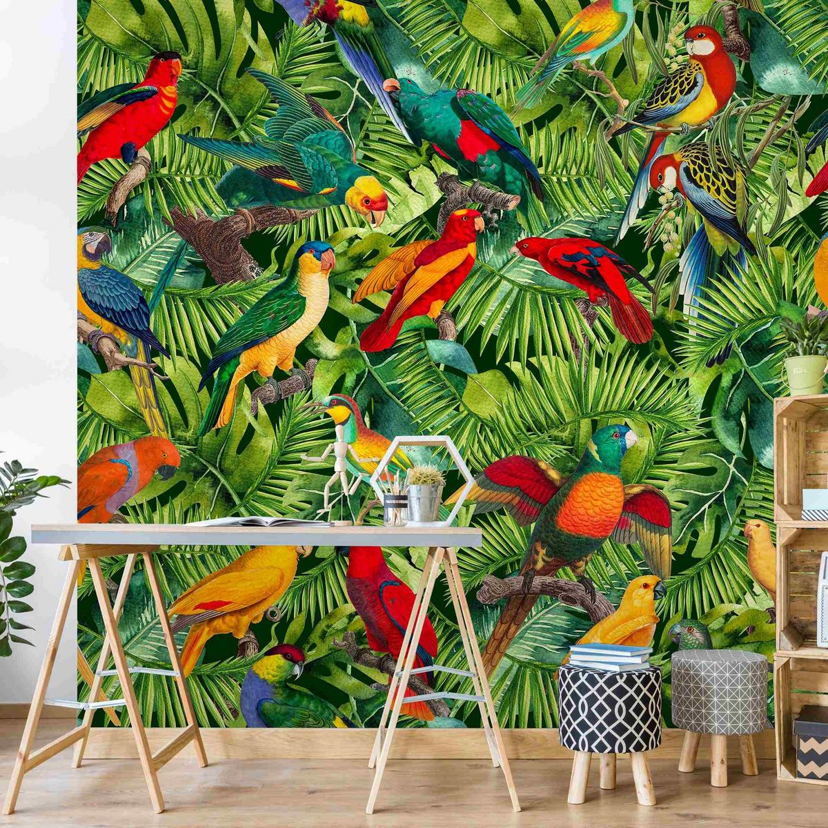 FOTOTAPETE Bunte Collage - Papageien im Dschungel 240/240 cm - Multicolor, Papier (240/240cm) - Bilderwelten