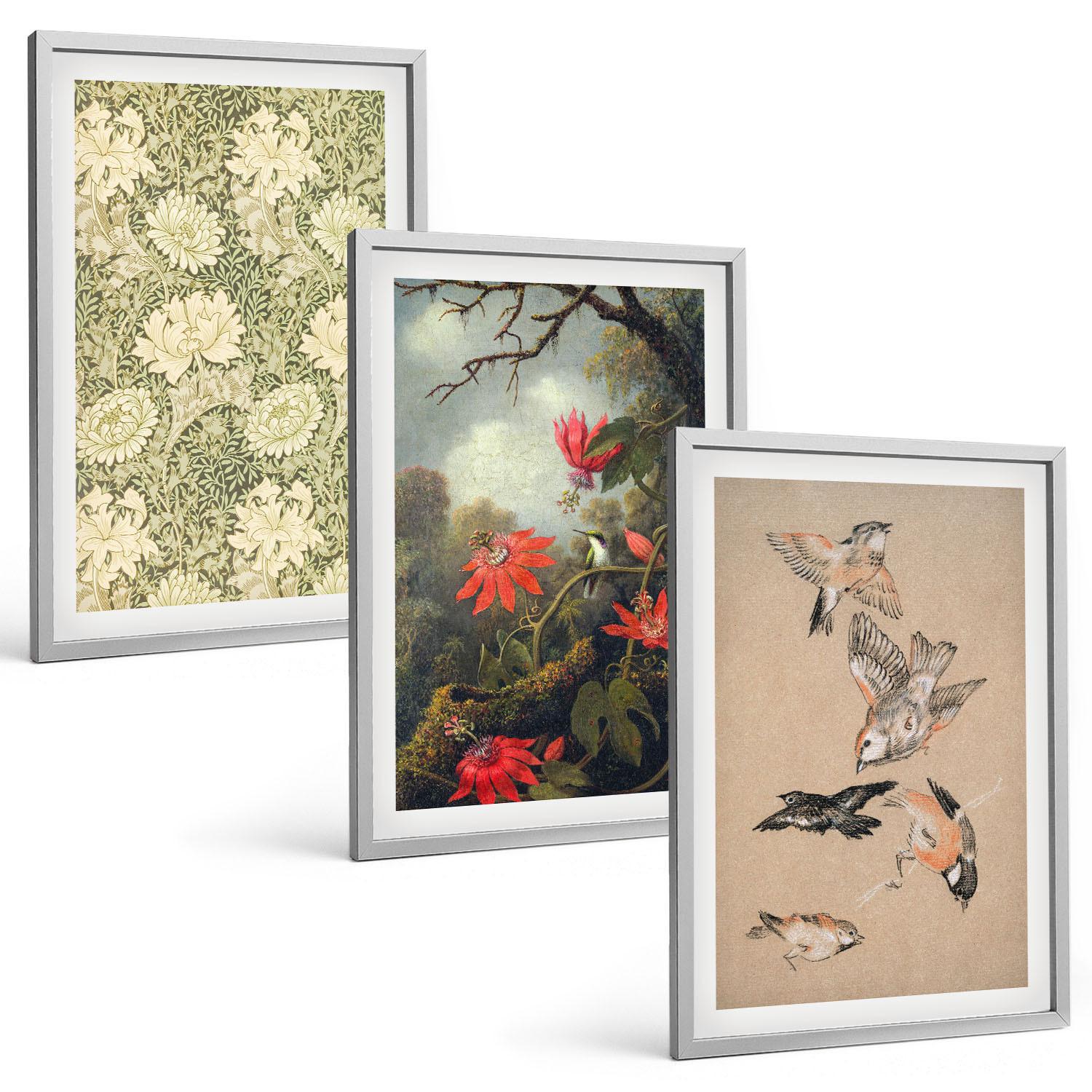 BILDER SET 3er Set - 40x60 cm Silberner Rahmen - Blumen, Vögel, Natur - Silberfarben, Kunststoff (40/60cm) - TULUP