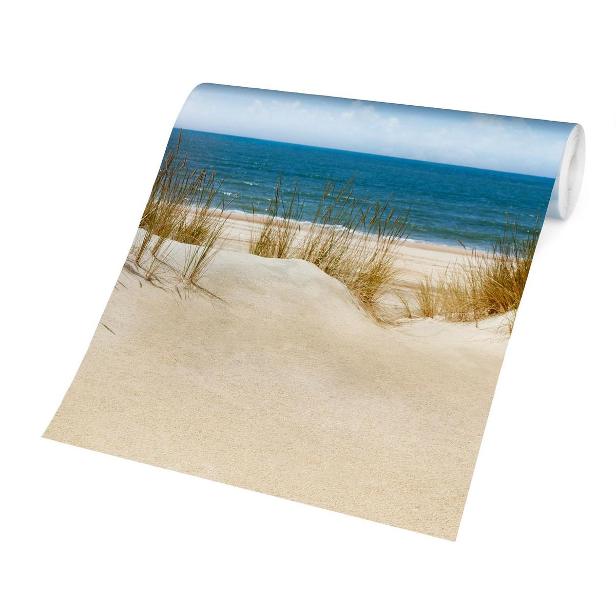 FOTOTAPETE Strand an der Nordsee 240/240 cm - Eichefarben, Papier (240/240cm) - Bilderwelten