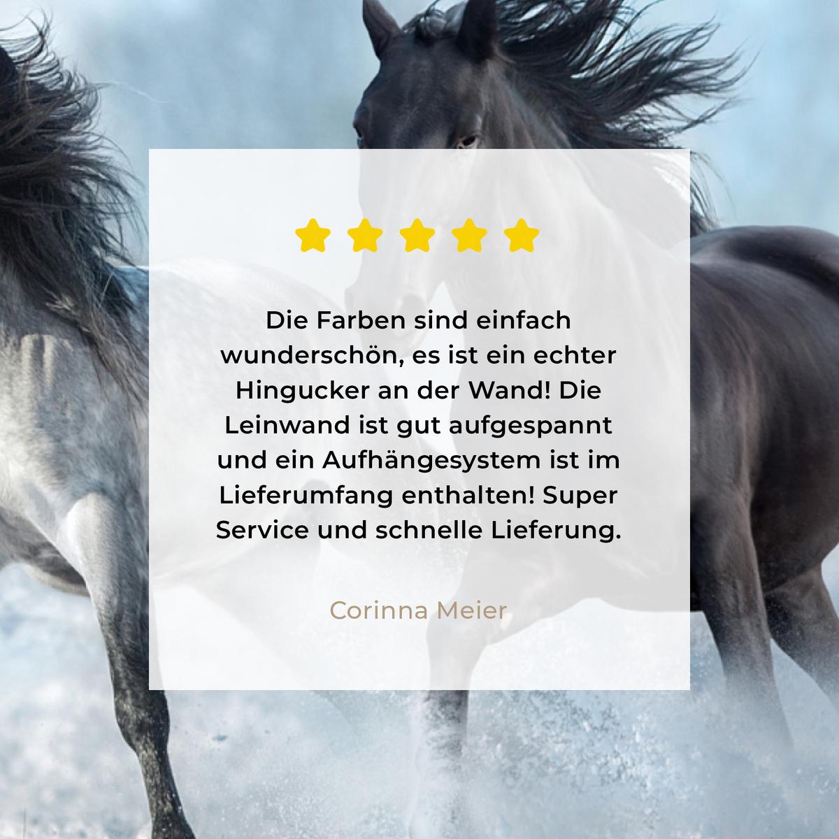 LEINWANDBILD Pferde - Winter - Tiere - Natur - Schnee Room Decor 30x40 cm - Anthrazit, Textil (30/40cm) - MuchoWow