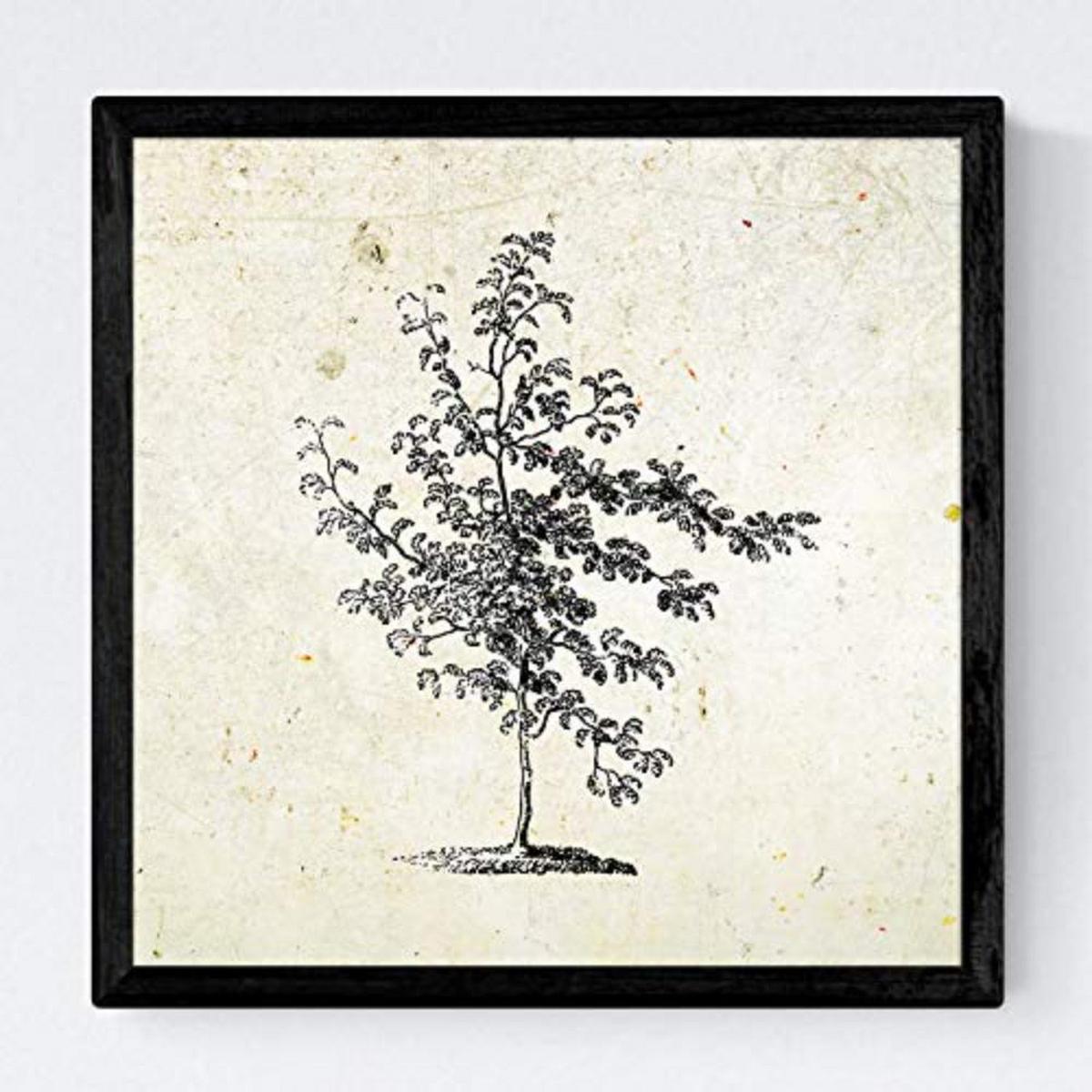 POSTER Set mit 4 Blättern der Grove Jahrgang Hintergrund 20x20cm Schwarzer Rahmen - Schwarz, Papier (20/3cm) - Nacnic