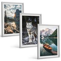 BILDER SET 3er Set - 40x60 cm Silberner Rahmen - Berge, Seen, Wölfe, Natur - Silberfarben, Kunststoff (40/60cm) - TULUP