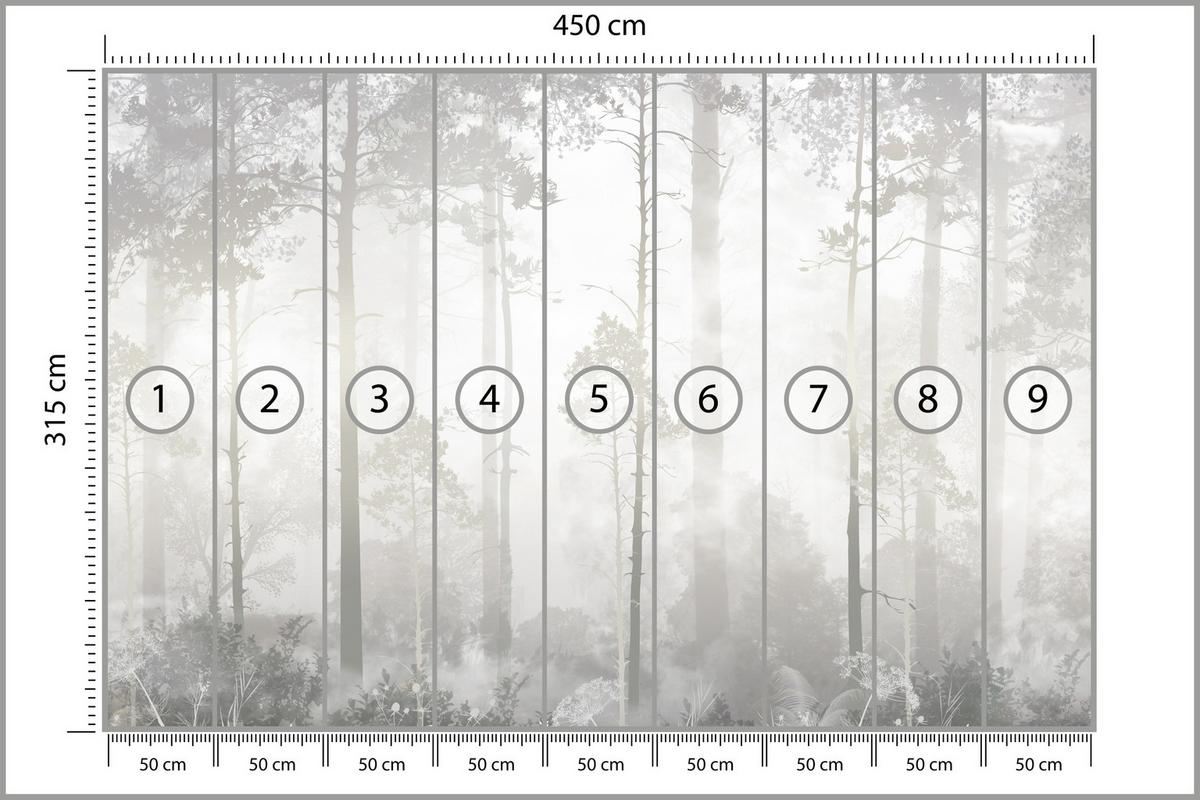 FOTOTAPETE für Schlafzimmer Nebliger Wald Bäume Sträucher Mystik 450x315 - Beige/Weiß, Papier (450/315cm) - Muralo