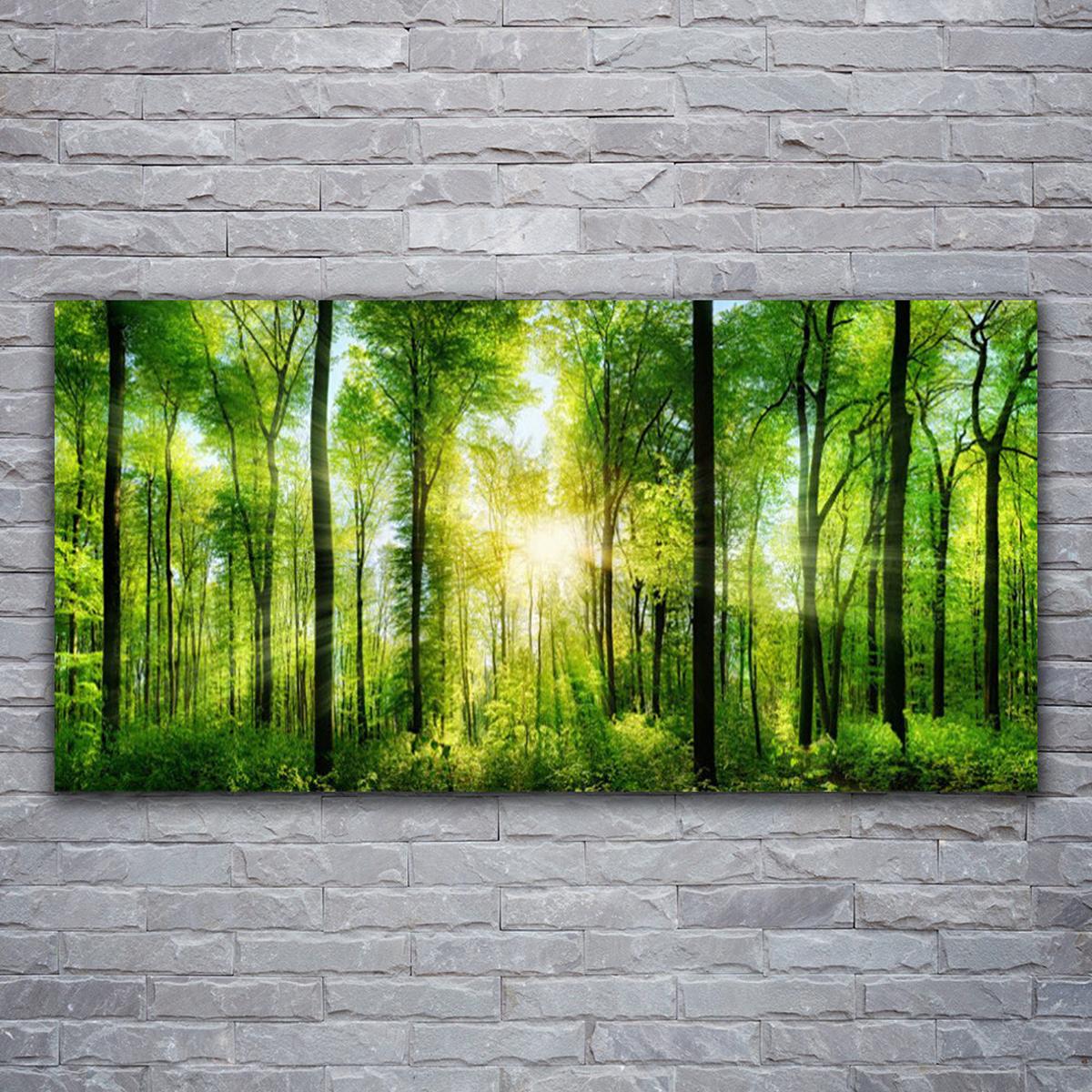 LEINWANDBILD 120x60 cm Sonnenstrahlen im Wald - Gelb/Hellgrün, Textil (120/4cm) - TULUP