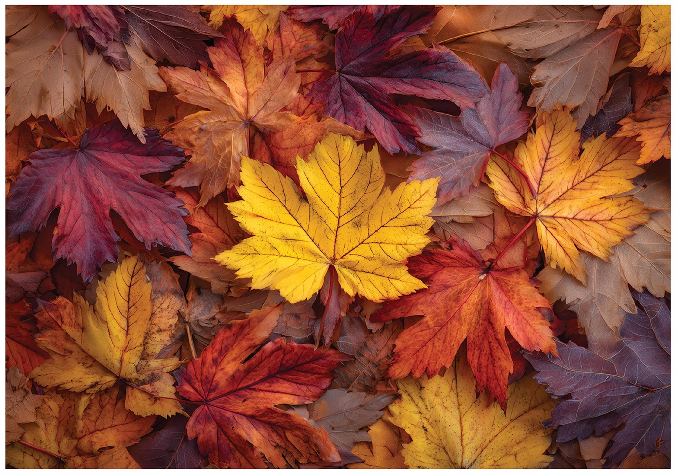 FOTOTAPETE Blätter Natur Bunt 250x175 cm - Multicolor, Papier (250/175cm) - Wallarena