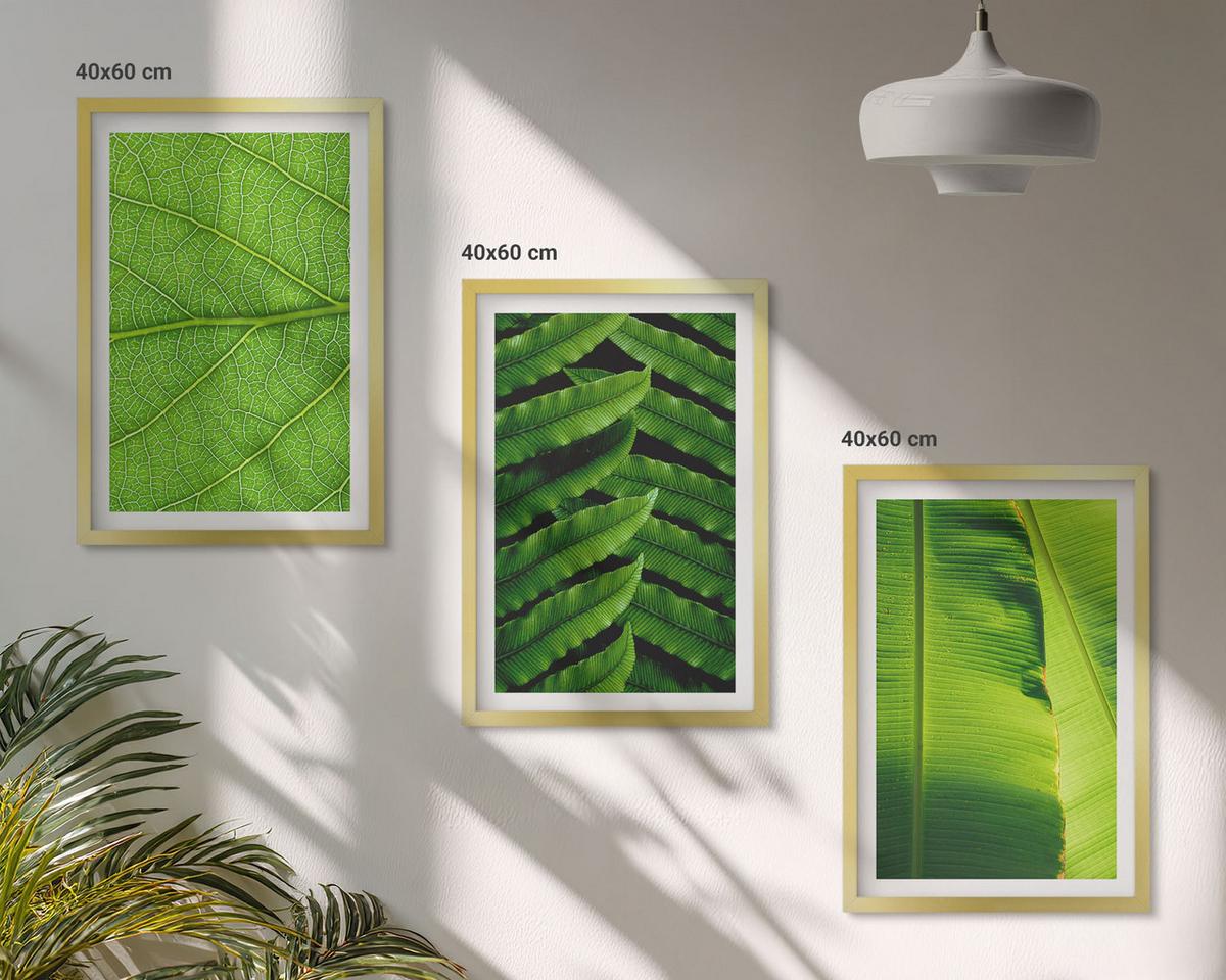 BILDER SET 3er Set - 40x60 cm Goldrahmen - Makrofotografie von tropischen Blättern - Goldfarben, Kunststoff (40/60cm) - TULUP
