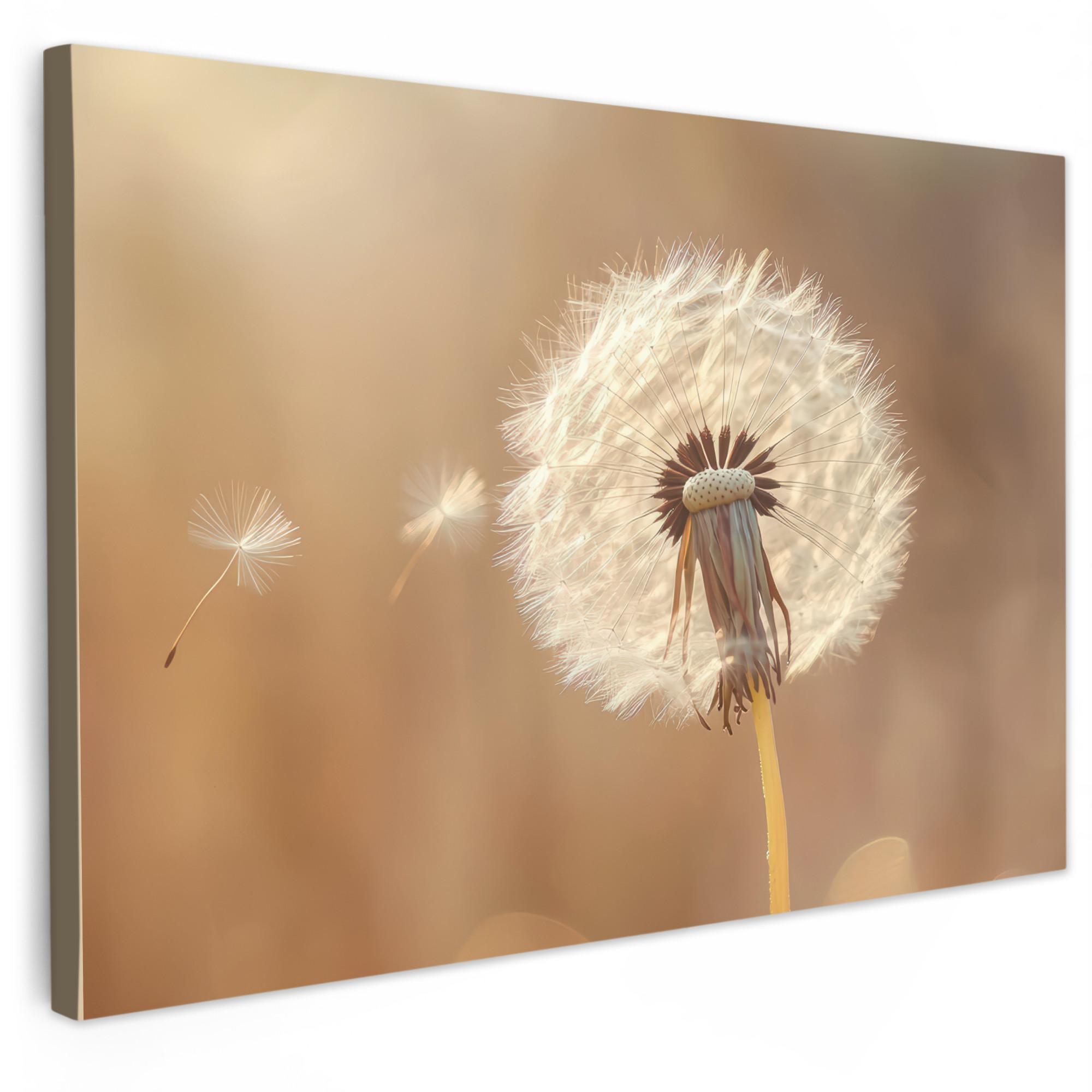 LEINWANDBILD Löwenzahn - Beige - Natur - Blume Wanddeko 90x60 cm - Hellbraun, Textil (90/60cm) - MuchoWow