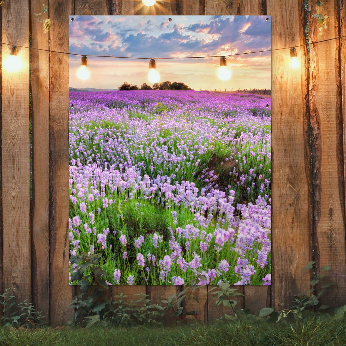 GARTENPOSTER Blumen - Lavendel - Lila - Himmel - Sonnenuntergang - Wiese - Natur Gartendekoration 120x160 cm - Flieder, Kunststoff (120/160/0.2cm) - OnlyWow
