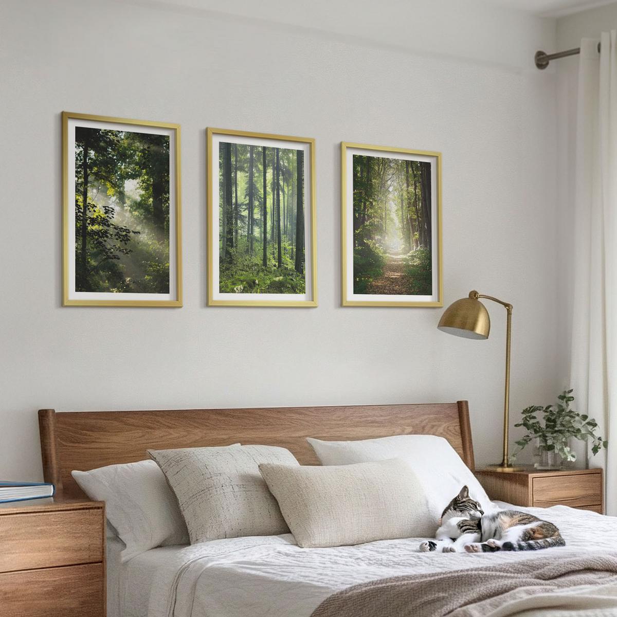 BILDER SET 3er Set - 40x60 cm Goldrahmen - Grüne Wälder mit Lichtstrahlen - Goldfarben, Kunststoff (40/60cm) - TULUP