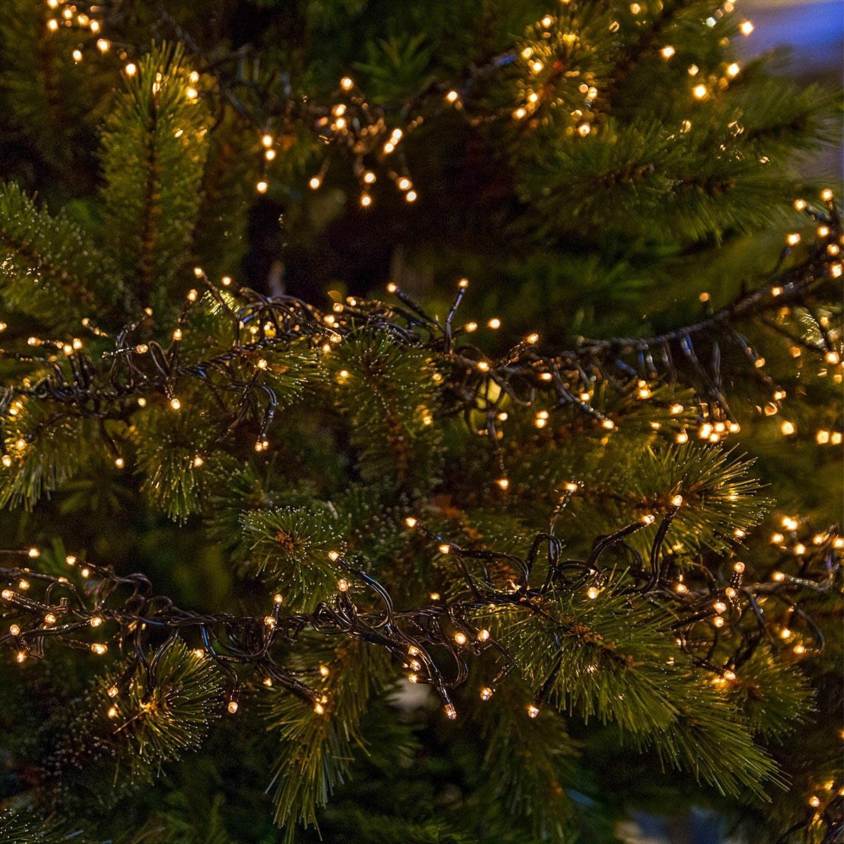 LED CLUSTER LICHTERKETTE 4m 576 LED Warmweiß Wetterfest Innen/Außen - Grün, Kunststoff (700cm) - ECD-Germany